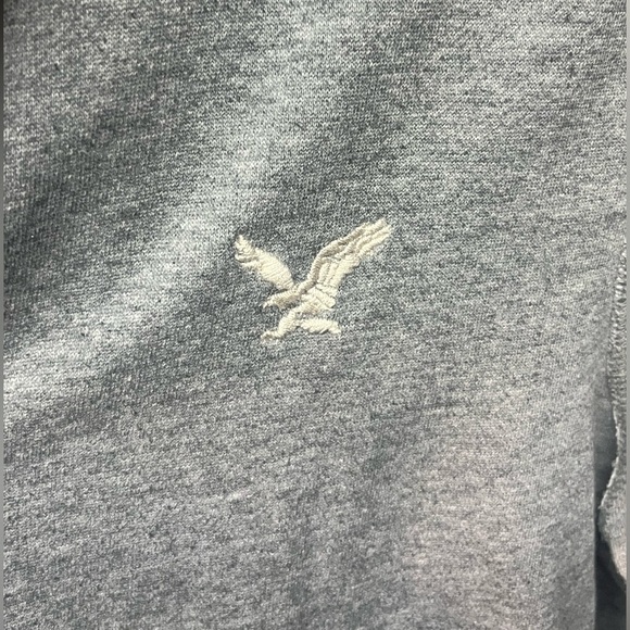 American Eagle Sweater Mens
Medium Gray Full Zip Up Hoodie - Picture 3 of 5